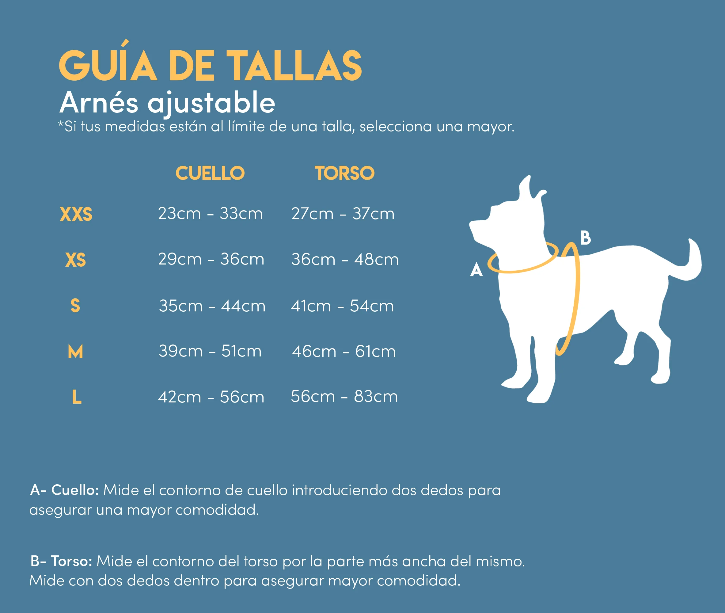VICHY ROJO - Arnés ajustable para perros – Pollo & Paco