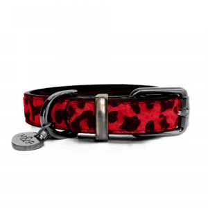 Collar leopardo Rojo
