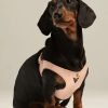 Arnés Juno Melocotón Branni Pets - Imagen 7