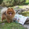 Snack Tiras de Pato blandas Nature´s Protection Superior Care - Imagen 2