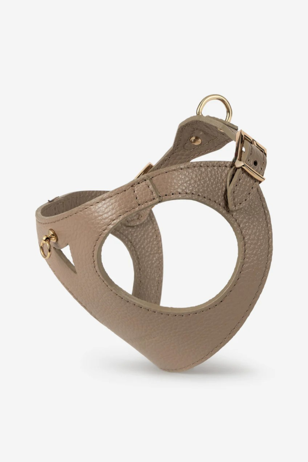Arnés Juno Taupe Branni Pets