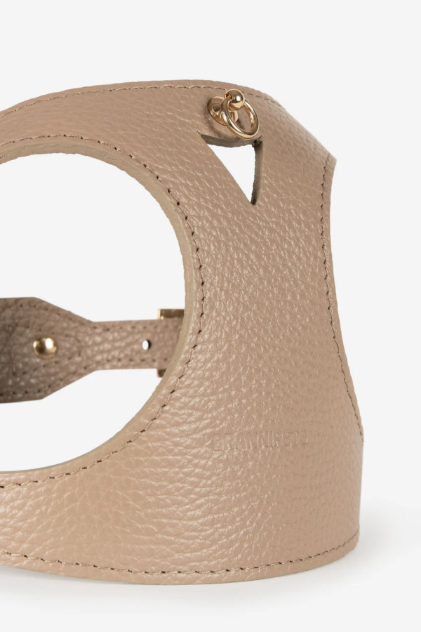 Arnés Juno Taupe Branni Pets - Imagen 4