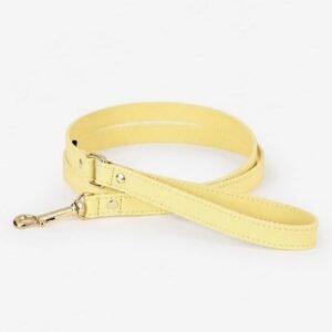 Correa Juno Amarillo Branni Pets