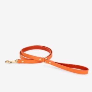 Correa Juno Naranja Branni Pets