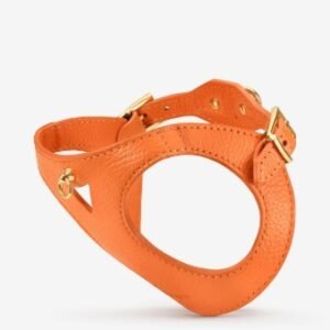Arnés Juno Naranja Branni Pets