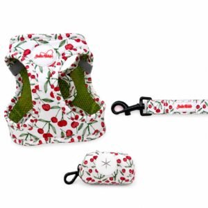Pack Arnés Body Cherry Collection Seda Noble
